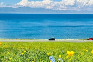 【阿勒泰遇见赛里木湖】阿勒泰+禾木+克拉玛依+喀纳斯湖+赛里木湖 8日游