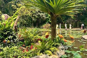 【西双版纳】昆明+西双版纳野象谷+原始森林公园+曼听公园+勐泐大佛寺+告庄西双+茶山轻徒步 5日游