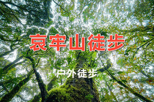 【秘境哀牢山】多个团期！云南昆明走进神秘哀牢山+徒步元阳梯田+漫步建水古城 5天4晚