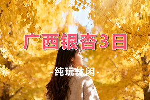 【恭城柿子节】收客中！恭城柿子节、桂林海洋乡、阳朔风光、“中国银杏第一乡”3日游