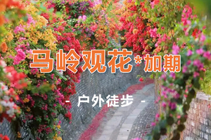 大型徒步！【广100第五站·马岭观花*加期】云上草原花海廊桥徒步，藏在花都的“莫奈花园”草原14公里千人徒步大会 1日游