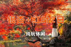 【韶关+岭南2天】12.3/6/10/13仅四期！帽子峰银杏世界摄影拍照、岭南红叶世界、天空之境美拍、趣味魔法森林