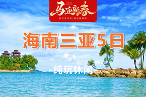 春节特价！仅此一期！【海南三亚过年大巴5天】相约海南三亚过暖年，一起浪迹天涯 深圳，东莞，广州均可以上车