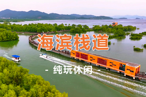 周六/周日【海滨栈道】滨海绿肺 鹭鸟天堂 好招楼湿地栈道+溪美村1日游