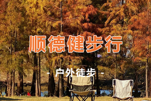 2.8“十全十美”美丽乡村 【伦教站】健步行系列活动1日游