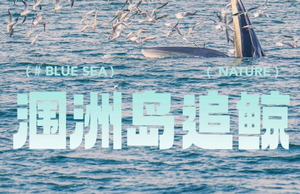 （已成形）跨年·独立团｜12.31-1.3 去25℃的涠洲岛跨年观鲸，在海边烟火下倒数！