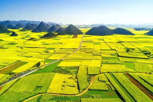 成团！【7天| 七彩云南】（3.7）人潮退散！我只想在滇南做一个“无用”的人，看海鸥漫天，等梯田日落