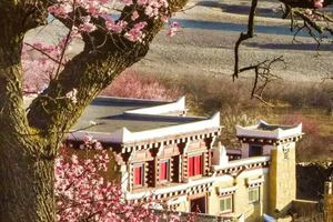 转发联系客服返现！【3天| 甘孜道孚·杏花】（4.1/4）小众冷门！被雪山藏起来的杏花仙境，真川西天花板！