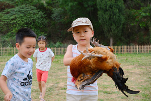 转发联系客服返现！【1天| 田园主题】（4.18/19）可亲子可独立，抓泥鳅+挖野菜+制作叶儿粑+扎染+抓鸭+石磨豆浆