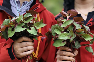 转发联系客服返现！【1天| 户外打野主题】（4.18/19）可亲子可独立，挖野菜