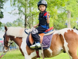 转发联系客服返现！【1~5天| 五一主题】马术、插秧烤鱼、丛林冒险、考古、真人CS、山地越野车、攀岩，嗨翻整个假期