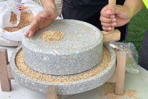 【1天| 小农夫主题】（暂无团期）打麦子，磨麦子，小麦馒头DIY、浑水摸鱼抓泥鳅、挖土豆