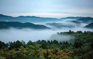 【双语免费公益徒步 | 龙泉山】（10.25）轻装徒步龙泉山，国际交流，享健康之旅
