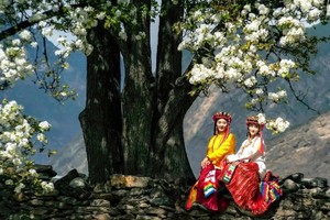 转发联系客服返现！【2天| 金川梨花】（3.18/21）雪山、梨花、碉楼，惊艳整个川西！