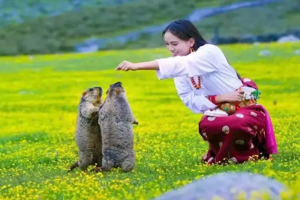 转发联系客服返现！【3天| 莫斯卡+双桥沟】（5.2）哪吒同款土拨鼠、走进天堂村落莫斯卡