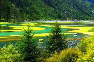 转发联系客服返现！【3天| 莲花湖+鱼子西】（5.1/2/3）川西‘喀纳斯’，野生温泉