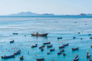 转发联系客服返现！【成都集散5天| 京族三岛】（5.1）中越边境的斯里兰卡，体验出海捕鱼的快乐！