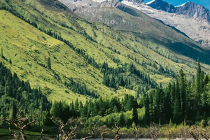 转发联系客服返现！【2天| 四姑娘山】（5.1/3）东方的“阿尔卑斯山”