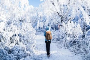 【2天| 王岗坪·冰雪露营】无高反玩雪观贡嘎，被国家地理盛赞的宝藏景区