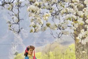 转发联系客服返现！【2.5天| 金川梨花】（3.13/20）雪山、梨花、碉楼，惊艳整个川西！