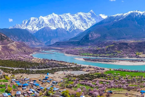 转发联系客服返现！16人旅拍小团【8天| 林芝桃花】（3.29）林芝桃花+拉萨+羊卓雍措+然乌湖！