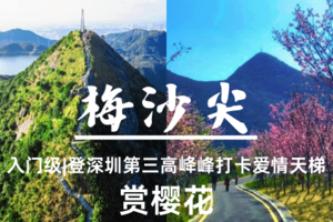 转发后45元起--深圳【梅沙尖+赏樱花】大华兴寺祈福｜登顶深圳第三高峰打卡爱情天梯｜小三洲赏樱花-3.29周日-入门级