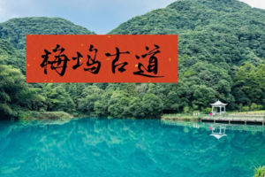 5/23【报名中·已建群】初夏·梅坞古道｜邂逅碧蓝澄湖，赏醉美池杉｜会员99元｜领队诃子