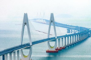 5/16【报名中·已建群】舟山这条满山鲜花盛开的徒步路线美爆啦~ 大海、风车、公路、森林...｜领队云海｜会员99元