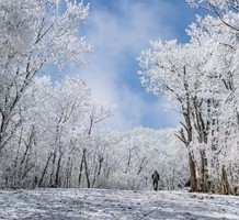 12/14【已建群·还可报名】寻雪龙王山 | 预报本周六降水降温，周日雪景雾凇概率超大
