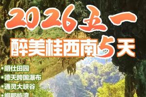 成团了！动车往返！【醉美桂西南5日游】桂西南 德天跨国瀑布、巴马、三门海5天游。报名付定金