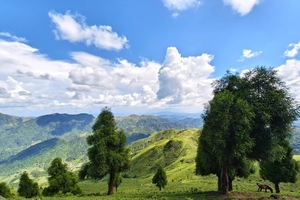 4.3晚-4.4 【六五顶】走进小那拉提 | 邂逅高山 草甸 日出 云海 -中低级