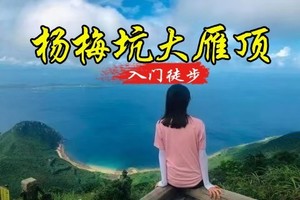 35元起！【杨梅坑&大雁顶】12.20周六，登大雁顶3号观景台，不爬山就去美人鱼拍摄基地