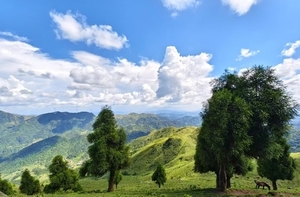 特价188元！【六五顶】1.2晚-3，走进小那拉提 | 邂逅高山 草甸 日出 云海 -中低级