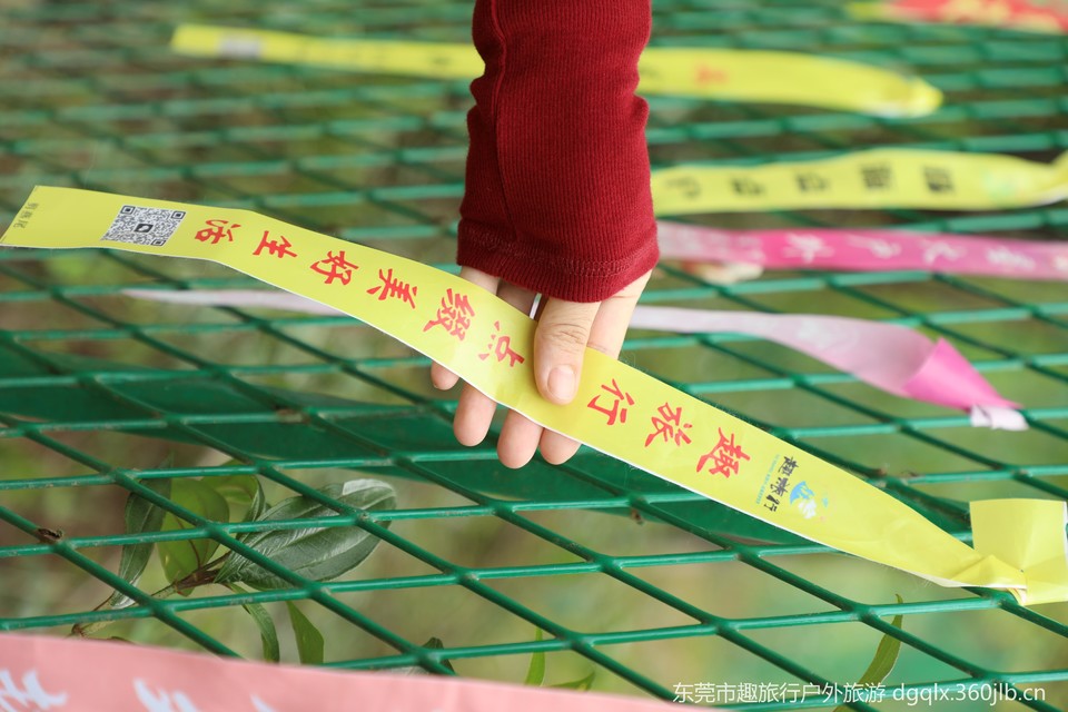 微信图片_20241104102621