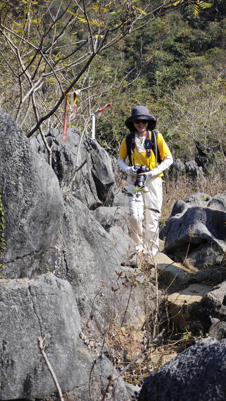 微信图片_20241209120038