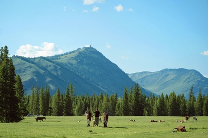 【阿坝3日】毕棚沟景区+达古冰川+四姑娘山双桥沟（2-8人纯玩小团）