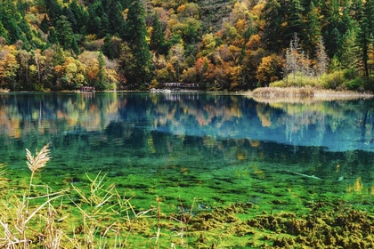 【甘孜7日】红海子+鱼子西+理塘+稻城亚丁+墨石公园+亚拉雪山+四姑娘山（2-8人纯玩小团）