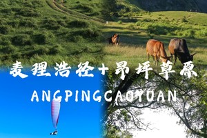 每周六日【徒步港版阿勒泰】麦理浩径四段+昂坪大草原