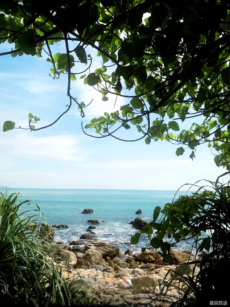 微信图片_20241222211429