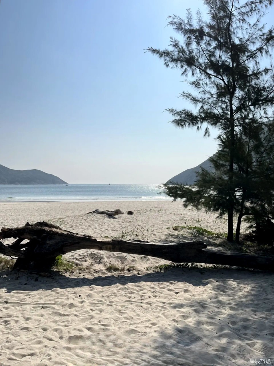 微信图片_20241222211536