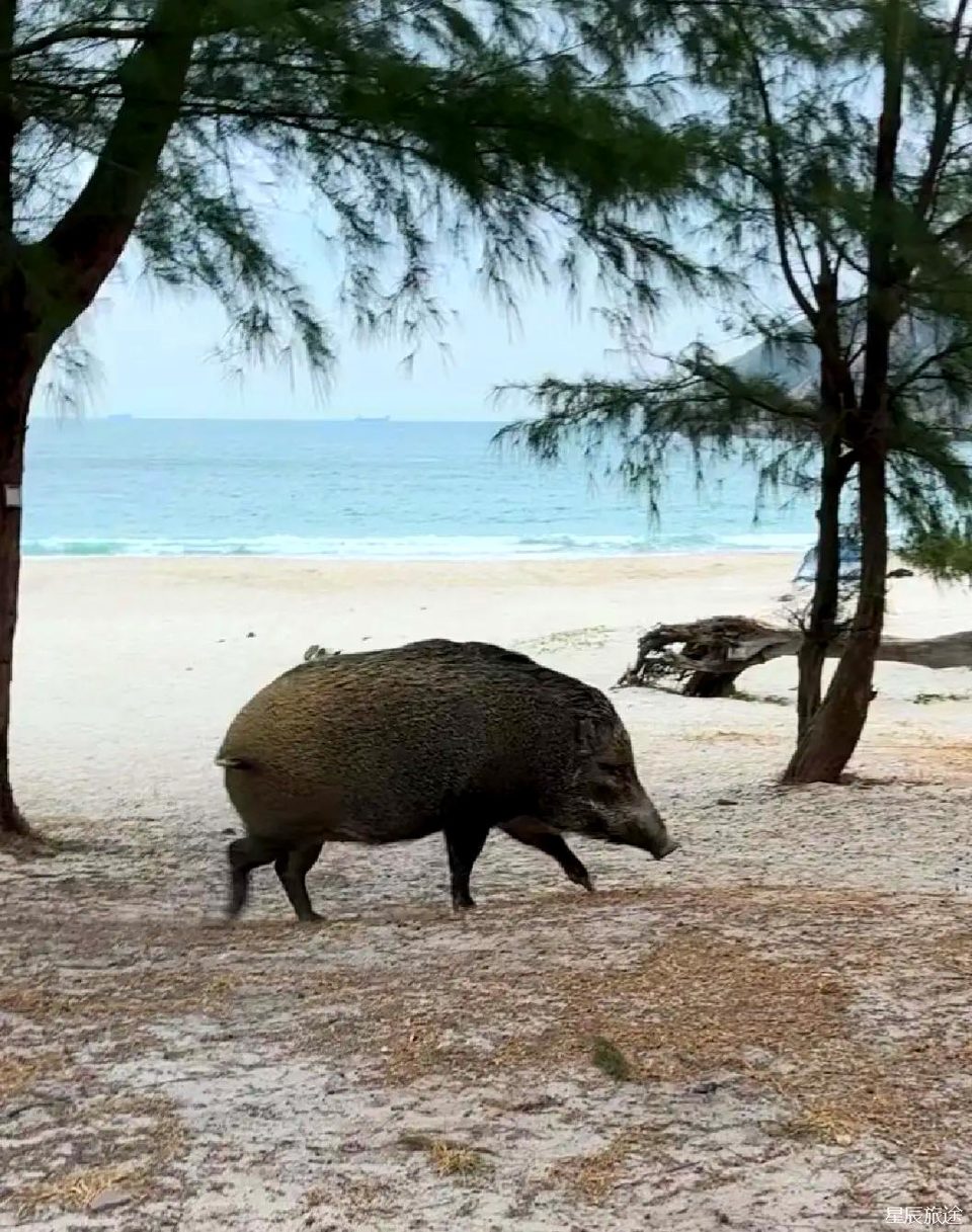 微信图片_20241222211544