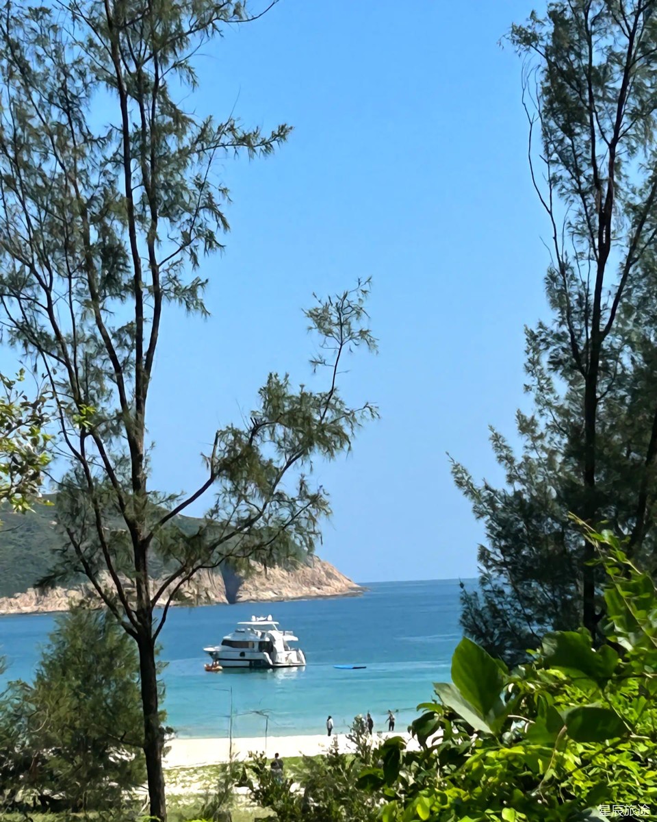 微信图片_20241222211550