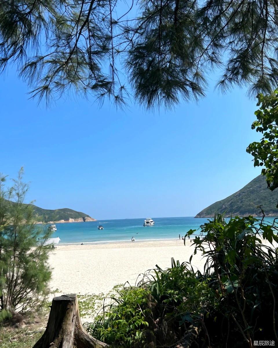 微信图片_20241222211552