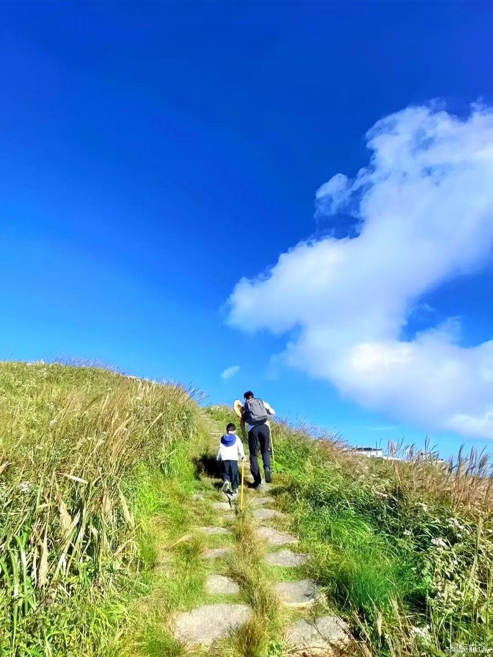 微信图片_20240805120020