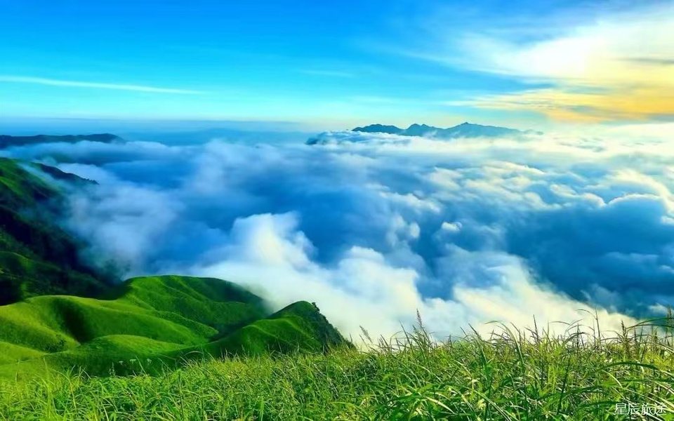 微信图片_20240805165245