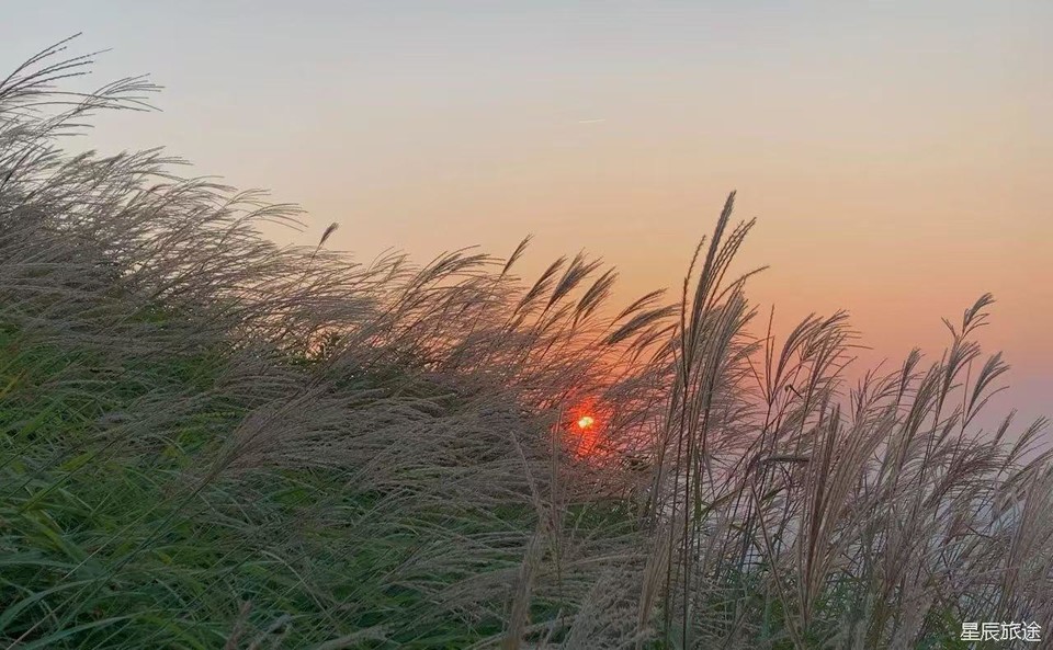 微信图片_20240805165253