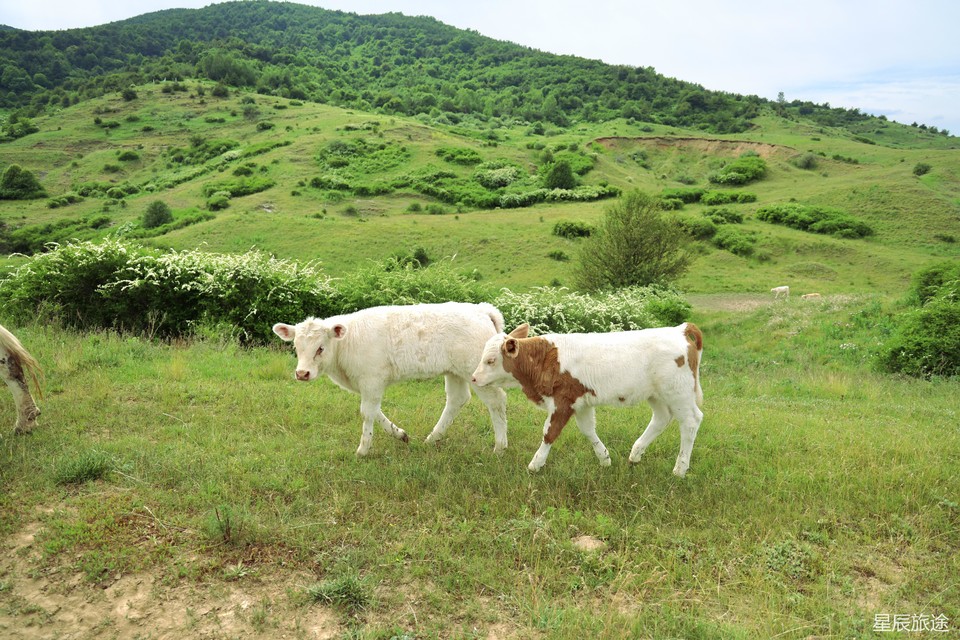 mmexport33cfa4d260118c5506d1174950832aa5_1718073633418