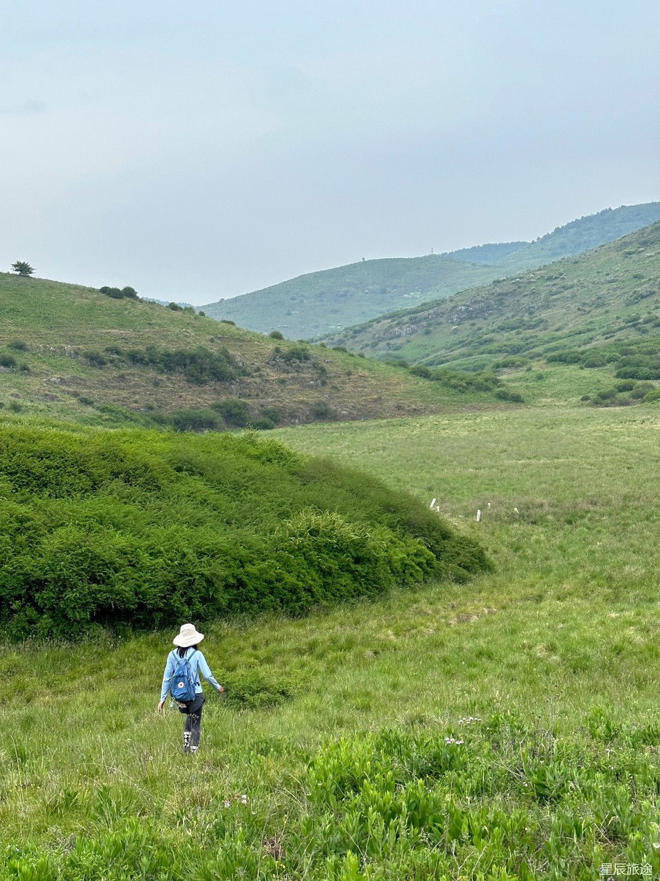 mmexport1717505459650