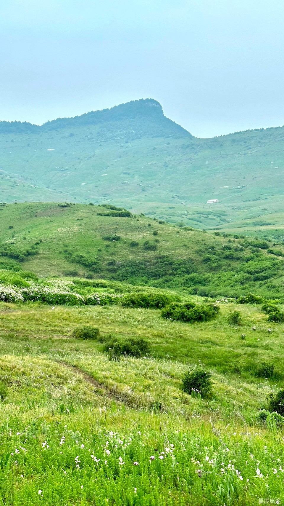 mmexport1717632918763