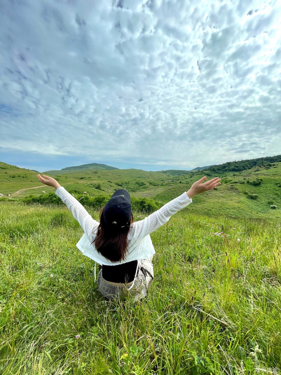 mmexport1718071279935